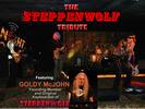 The Steppenwolf Tribute